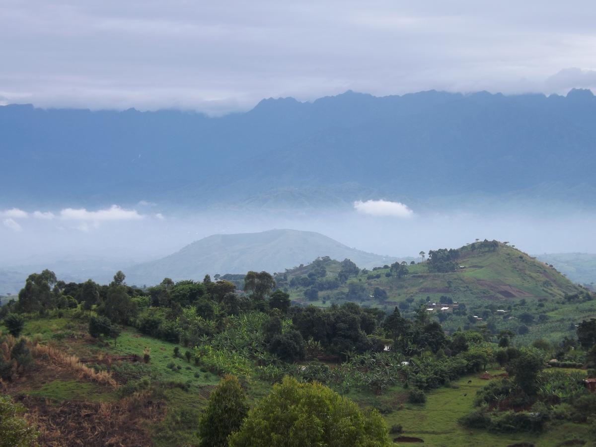 Isunga Lodge Kibale National Park Ngoại thất bức ảnh