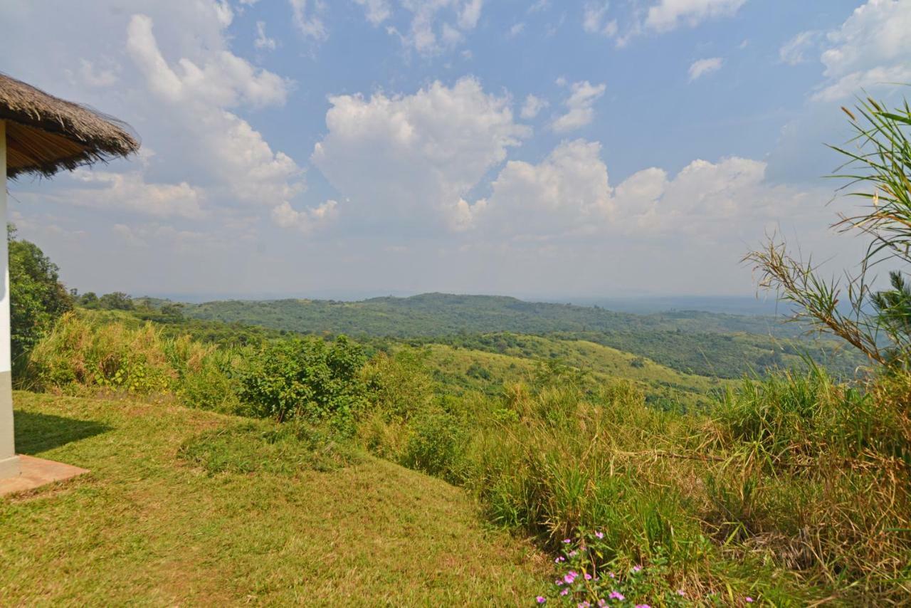 Isunga Lodge Kibale National Park Ngoại thất bức ảnh